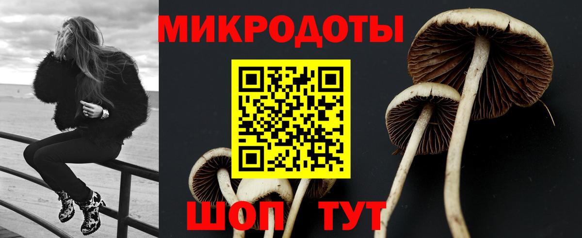 Псилоцибиновые грибы Cubensis Лянтор